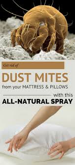 Get Rid Of Dust Mites From Your Mattress And Pillows With This All Natural Spray 101cleaningtips Net Dust Mites Dust Mites Mattress Dust Mite Spray