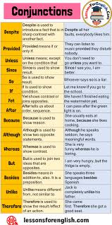 15 Connectors Conjunctions Definition And Example Sentences Because Because Is Used To Show R In 2020 Learn English Vocabulary Learn English Words English Vocabulary