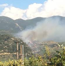 Ακολουθήστε το patris news στο google news και ενημερωθείτε live για όλες τις εξελίξεις. Pyrkagia Sth Messhnia Epixeiroyn Ola Ta Enaeria Mesa Ths Pyrosbestikhs Peloponnhsoy Policenet Of Greece