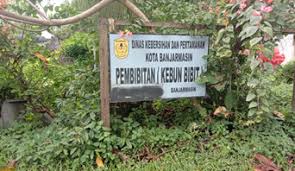 0 comments 0 likes statistics notes full name. Prosedur Pemangkasan Pohon Dan Permintaan Tanaman Hias Pohon Pelindung Dinas Lingkungan Hidup Kota Banjarmasin