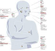 Pin On Body Mod
