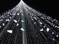 LMU Annual Tree Lighting Ceremony