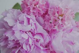 Generally, you should stick with white lilies, which symbolize purity, regaining innocence, and the rebirth of the soul. Facing Significant Anniversaries After The Death Of A Loved One
