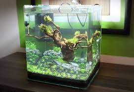 Nano Cube Tag 2 Http Www Aquascaping Forum De Nano Aquarium Fish Tank Aquascape