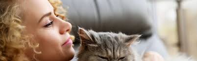Duration of the study or until death. Warning Signs Of Cat Heart Disease Pender Vet Animal Hospital Fairfax Chantilly Va