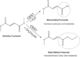 Image result for Dimethyl Fumarate