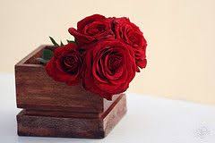 Maybe you would like to learn more about one of these? ØµÙˆØ± ÙˆØ±Ø¯ Ø¬ÙˆØ±ÙŠ Ø¬Ø¯ÙŠØ¯Ø© 2015 Ø§Ø¬Ù…Ù„ Ø§Ù„ÙˆØ±ÙˆØ¯ Ø¨ÙƒÙ„ Ø§Ù„Ø§Ù„ÙˆØ§Ù† Ø§Ø­Ù…Ø± Ø§ØµÙØ± Ø¨Ù†ÙØ³Ø¬ÙŠ Ø§Ø¨ÙŠØ¶ Rosa Damascena Beautiful Flowers Red Roses Rose