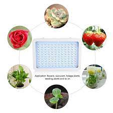 Strawberries are perhaps the easiest fruit to start growing indoors. 5 Years Warranty Two Packs 27 Watts Grow Light Bulb Grow Light Full Specturm Professtional Edition For Indoor Plants Greenhouse Fruits Vegetable Herbs And Flowers Garden Growing 2 Packs 27 Watts Growing Light Bulbs