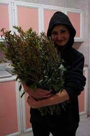 Khat contains the alkaloid cathinone, a stimulant, which is said to cause excitement, loss of appetite, and euphoria. Ø­Ø²Ù…Ø© Ù‚Ø§Øª ÙØ§Ø®Ø± Ù…Ù† Ø¹Ù„ÙŠ ØµØ§Ù„Ø­ Ù„Ù„Ù…Ø°ÙŠØ¹Ø© Ø§Ù„Ø±ÙˆØ³ÙŠØ© Ø§Ù„ØªÙŠ Ø­Ø§ÙˆØ±ØªÙ‡
