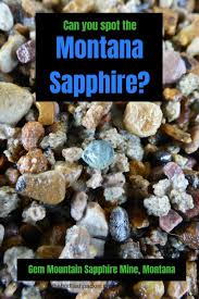 Sapphire Mining In Montana Gem Mountain Sapphire Mine Thehotflashpacker Com In 2020 Montana Sapphire Montana Gem Mining