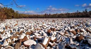 Stocked with brook and brown trout, many of the streams are. Boulder Field Of Hickory Run State Park Amusing Planet