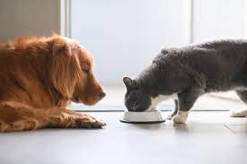 Try not to drool, shop all our monthly deals at once. Schedule Appointment With La Animal Services