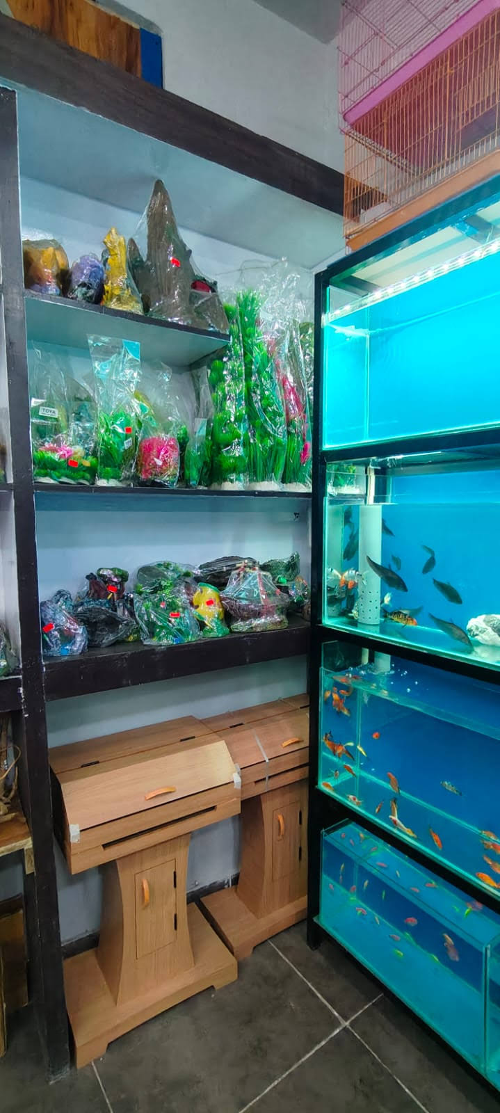 Fish Aquarium For School, College, Office Restaurants product image