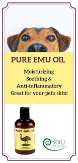Pet Itchy Dry Dandruff Skin Remedy Pure Emu Oil Pure Emu Oil Emu Oil Skin Remedies