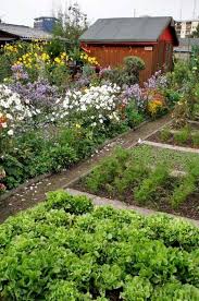 Spass Im Schrebergarten Und Kleingarten Garten Schrebergarten Kleiner Garten