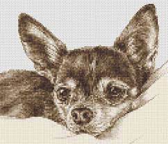 Posted dec 14, 2014 by bcs. Chihuahua Dog Counted Cross Stitch Kit Animals 9 X 8 Free P P Cross Stitch Cross Stitch Animals Cross Stitch Kits