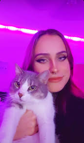 Domesticated kittens seeking food and care