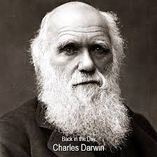 Does anyone remember Ginger Newton's place,