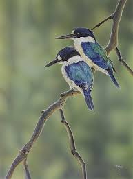 Peta Boyce Birds Animals Artwork Beautiful Birds Birds