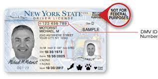 We did not find results for: New York Dmv Sample New York Dmv Photo Documents