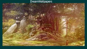 Forest 4k desktop background hd, tree, plant, land, direction. Enchanted Forest Wallpaper For Android Apk Download