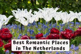 I've had a fantasy of watching my wife with another man. The Best Romantic Places In The Netherlands In 2021