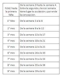 Cuantos Meses Son 40 41 Y 42 Semanas Club Noviembre 2019 Embarazo Y Bebes Babycenter