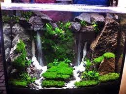 Pirdot Contoh Desain Air Terjun Aquscape Waterfall Onderwater Planted Aquarium Aquariumvissen