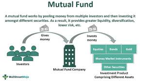 Mutual Fund Definition | Investing | Stock, & Hedge Fund | Napkin Finance