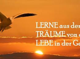 Sprüche Für Nachdenken Poolvogel