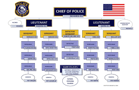 newton police department organizational chart newton