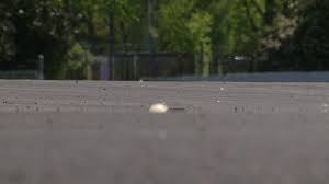 We have the keys to creepytown! Sacramento Drive In Ramps Up Look Feel With New Asphalt Lots Bathrooms