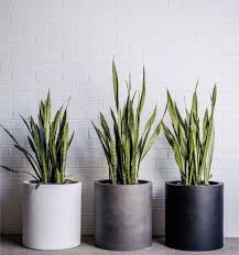 Co Pots Jardim De Casa Simples Jardinagem Em Vasos Decoracao