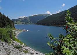 We did not find results for: Konigsleiten Wald Im Pinzgau Die Schonsten Wanderwege Gps Wanderatlas
