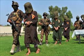 Maybe you would like to learn more about one of these? Afghanistan 80 Taliban Kampfer Getotet