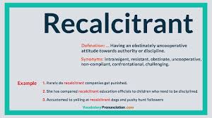 'the commissioner's powers to approve, audit and discipline recalcitrant players are uncertain in the bill.' 'at the same time, he did not mind appealing to the council to discipline recalcitrant citizens who played tennis in the town square while he was preaching on sunday.' How To Pronounce Recalcitrant L Definition Meaning Example And Synonyms Of Recalcitrant By Vp Youtube