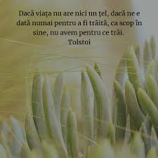 Pur si simplu scot fericirea din sufletele noastre la lumina si ii dau o noua stralucire. Din Bucuria De A Trai Cele Mai Frumoase Statusuri Despre Viata