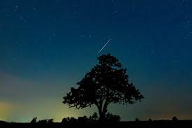 Annual August Perseid Meteor Shower To Peak Wednesday