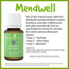 Animal scents puriclean essential oil blend cleans and purifies your pet's skin. Pin On Yleo Animal Scents