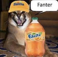Cat memes are considered to be universal ones, which are used for all occasions! Memes Of Cats