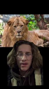 Differenza Leone Africano E Asiatico