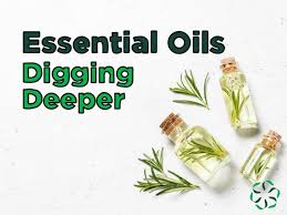Essential Oils Digging Deeper Tea Tree Oil Center For Research On Ingredient Safety