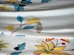 Willow Seward ❁ (@WillowSeward)