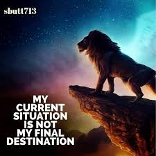 Inspirational Quotes Your Current Situation Is Not Your Final Destination My Current Situation Is Not My Final Destination 800x800 Desire Quotes Mindset Quotes Lion Quotes
