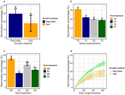 Image result for Cylicomorpha parviflora