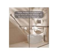 Toilet Raised Flush Button Panel AS1428.1 DDA Accessible Pneumatic for G30035 Cistern Brushed Gold - NRCRPL002BG