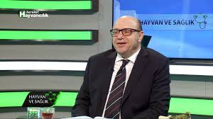 Hayvan Ve Saglik Berekettv Panosundaki Pin