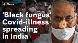 Where there were cracks in australia's defence system, it succeeded in exploiting them. Covid Linked Black Fungus Infection Spreading In India Youtube