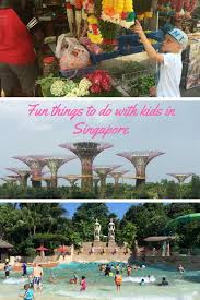 Three Fun Things To Do In Singapore With Kids Singapore With Kids Fun Things To Do Things To Do