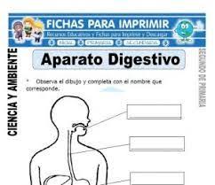 Para ello presentamos una serie de fichas para trabajar la inteligencia emocional en la etapa de secundaria. Fichas De Actividades De Tercer Grado De Secundaria De Cta Buscar Con Google